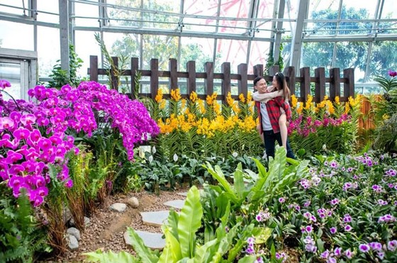 Khám phá khu vườn “kỳ hoa dị thảo” trên đảo kỷ lục Nha Trang ảnh 9