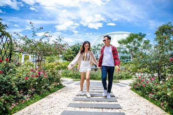 Khám phá khu vườn “kỳ hoa dị thảo” trên đảo kỷ lục Nha Trang ảnh 2
