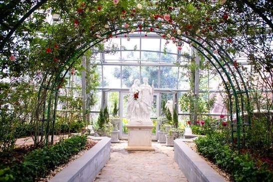 Khám phá khu vườn “kỳ hoa dị thảo” trên đảo kỷ lục Nha Trang ảnh 1