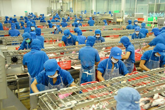 Giá trị cốt lõi của Tập đoàn Sao Mai ảnh 2
