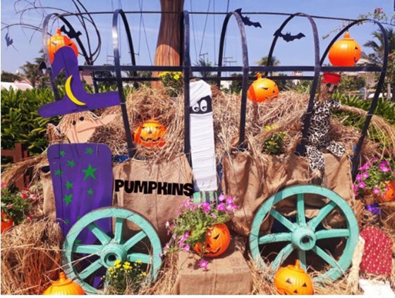 “Siêu bảo tàng” bí ngô Vinpearl mùa Halloween ảnh 5