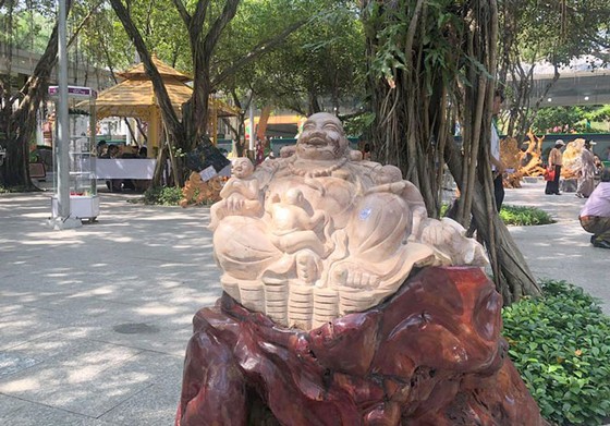 Chiêm ngưỡng nghệ thuật Bonsai và Suiseki ảnh 7