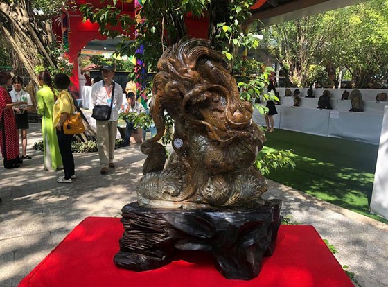 Chiêm ngưỡng nghệ thuật Bonsai và Suiseki ảnh 8