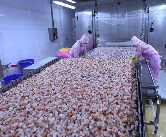Dịch COVID-19: Khơi thông dòng lưu chuyển hàng hóa xuất khẩu hình ảnh 1 Dich COVID-19: Khoi thong dong luu chuyen hang hoa xuat khau hinh anh 1