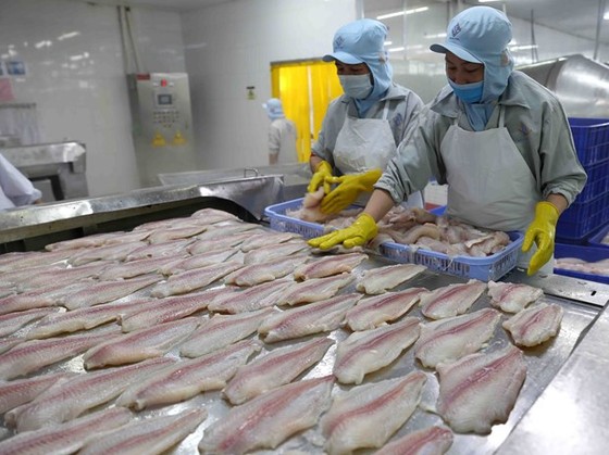 COVID-19: Cơ hội của Việt Nam khi các nền kinh tế châu Âu dần mở cửa hình ảnh 3 COVID-19: Co hoi cua Viet Nam khi cac nen kinh te chau Au dan mo cua hinh anh 3