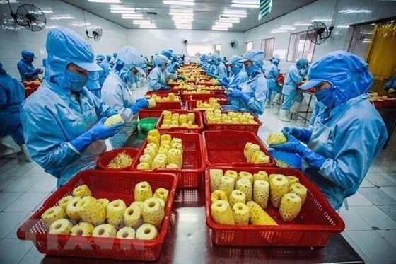 Thúc đẩy tiêu thụ hàng hóa nông sản sang thị trường Trung Quốc hình ảnh 2 Thuc day tieu thu hang hoa nong san sang thi truong Trung Quoc hinh anh 2