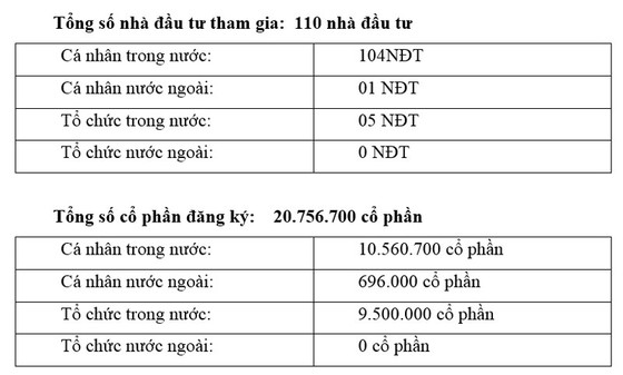 Đăng ký tham gia đấu giá cổ phần CTCP Tập đoàn An Phát Holdings ảnh 1