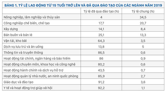 AI nhìn từ thị trường lao động ảnh 1