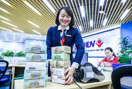 Tiền thừa ngân hàng đổ vào trái phiếu? ảnh 2
