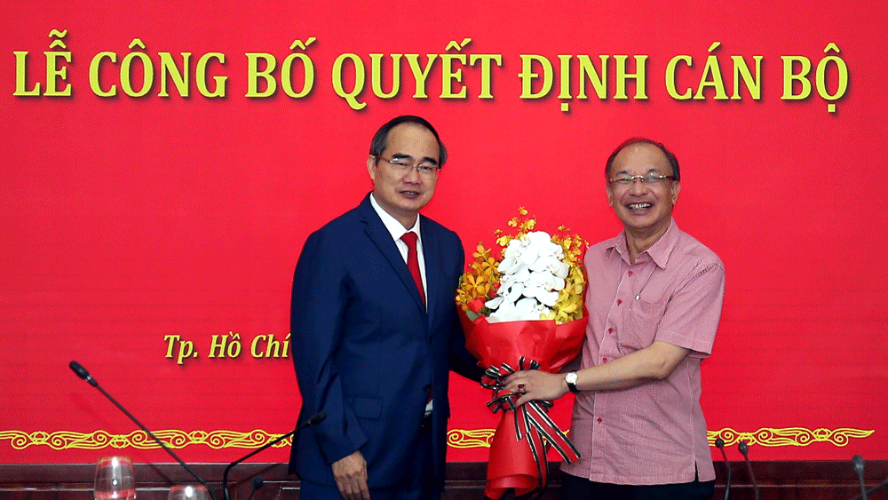 Đồng chí Võ Thị Dung, Phó Bí thư Thành ủy TPHCM nghỉ hưu ảnh 3