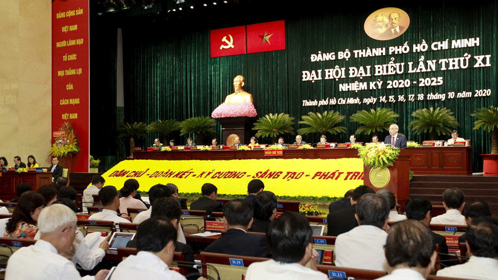 Thông tin về nhân sự tại Đại hội Đảng bộ TPHCM khóa XI ảnh 1