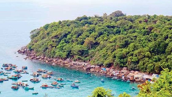 Đề xuất xử lý ngay bất cập trong quy định về lương giáo viên và báo cáo đánh giá tác động môi trường ảnh 1