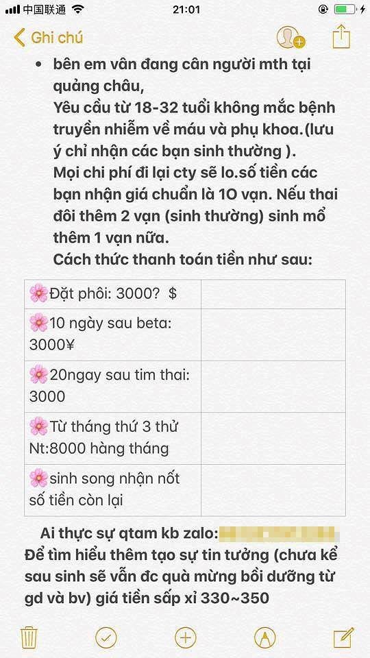 Chuyện chưa kể về băng nhóm tổ chức mang thai hộ xuyên quốc gia ảnh 2