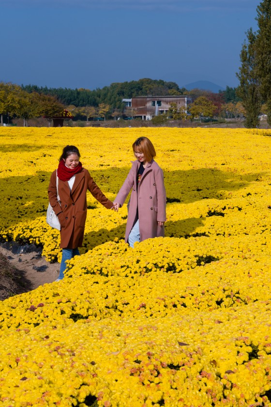 Hàng không tăng chuyến, khách Việt Nam có cơ hội du lịch Hàn Quốc giá rẻ ảnh 9