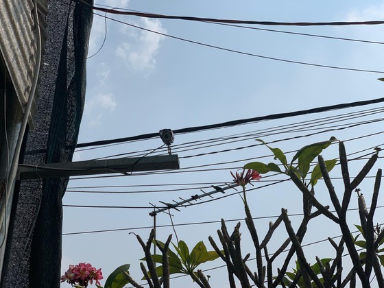 Trộm "viếng" nhà dân ở quận Thủ Đức, cuỗm nhiều tài sản ảnh 3