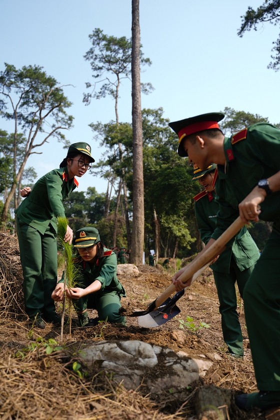 Phủ xanh 2.000 cây Thông Mã Vĩ trên đồi cây “Dâng Bác – Ơn Thầy” ảnh 14
