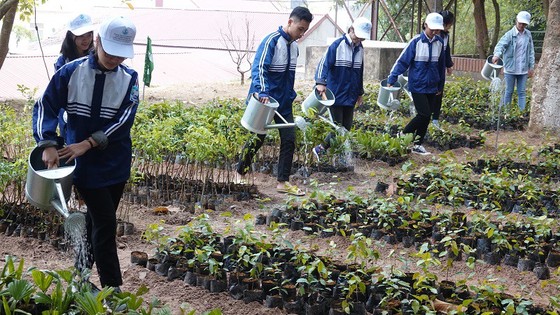 Học sinh trồng cây tham gia 'Vườn ươm sứ giả môi trường' ảnh 1