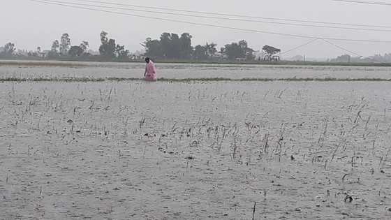 Nhiều nơi tại Nghệ An ngập lụt, có thể lùi thời gian khai giảng năm học ảnh 4