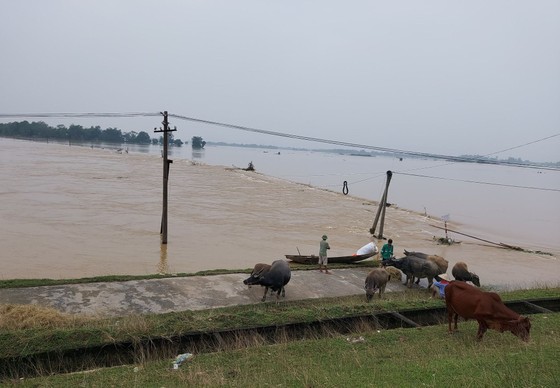 Đến sáng 2-11, mưa đã ngớt nhưng nhiều nơi ở Nghệ An vẫn ngập lụt