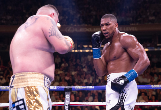 Quyền Anh: AJ “cơ bắp” báo thù “Gã mập ù” Andy Ruiz, đoạt lại các đai vô địch ảnh 1