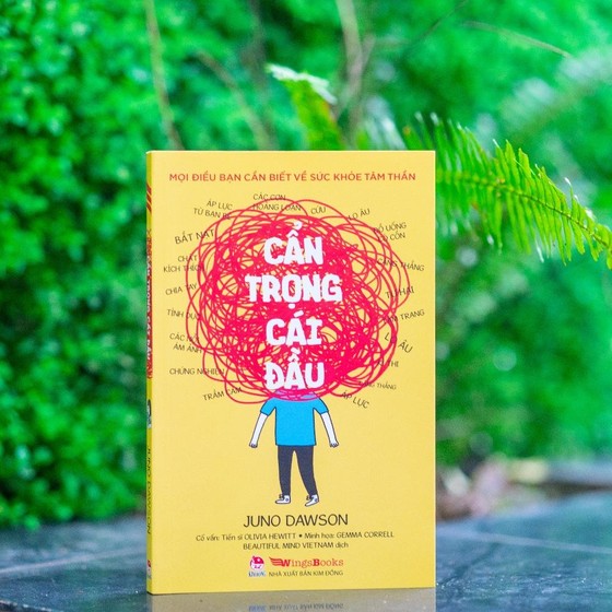 “Cẩn trọng cái đầu” và lời khuyên hữu ích về rối loạn tâm thần ảnh 1