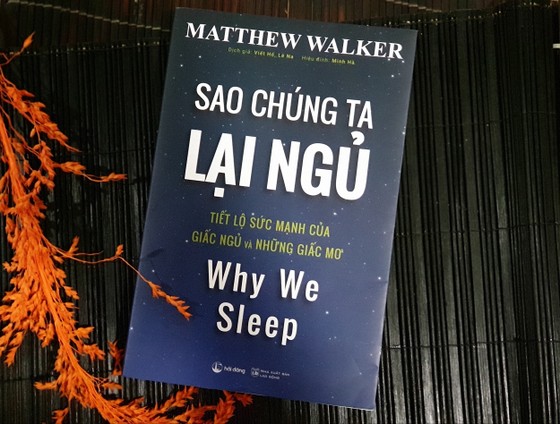 Khám phá sức mạnh của giấc ngủ ảnh 1