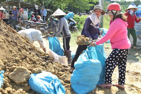 Đắk Lắk: Gồng mình đắp đê cứu hơn 1.000ha lúa ảnh 3