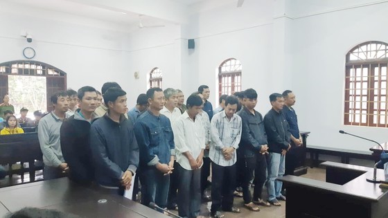 Vụ xét xử Phượng “râu”: Ông trùm gỗ lậu lãnh án 8 năm 6 tháng tù ảnh 2