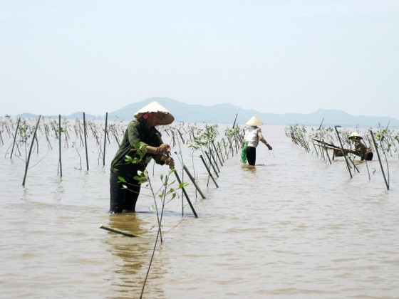 Quỹ Cộng đồng phòng tránh thiên tai: Xây dựng gần 100 công trình cho người dân vùng thiên tai ảnh 1