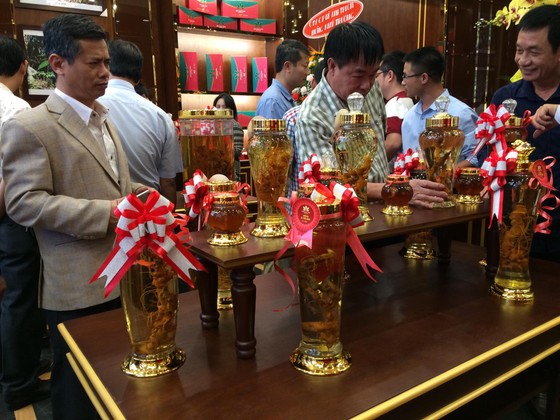 Kon Tum: Chính thức bán sản phẩm Quốc bảo sâm Ngọc Linh ra thị trường ảnh 1