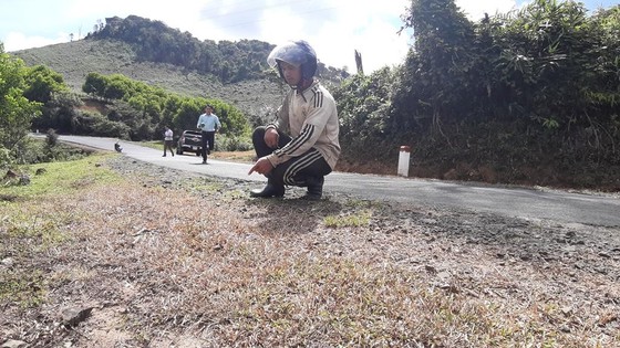 Hai cá nhân bị kỷ luật liên quan đến việc phun thuốc diệt cỏ trên quốc lộ ảnh 2