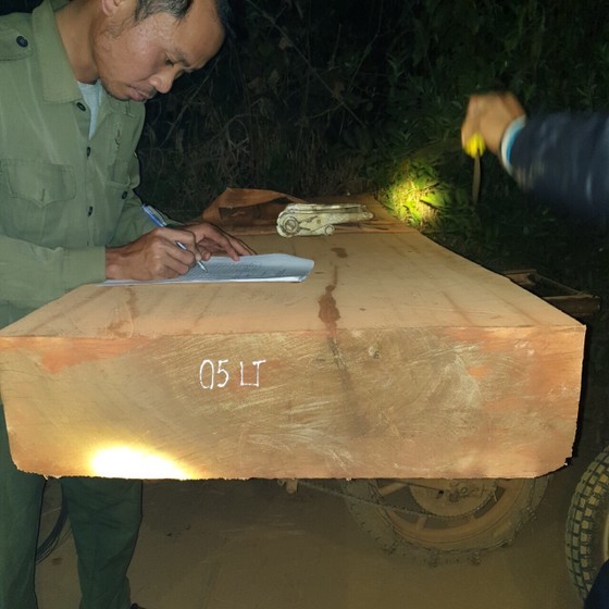 Bị chặn bắt, hàng chục lâm tặc vứt xe chở gỗ chạy tán loạn trong đêm ảnh 1