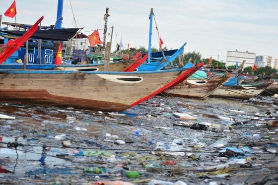 Đà Nẵng tìm phương án giải quyết ô nhiễm môi trường tại âu thuyền Thọ Quang ảnh 2