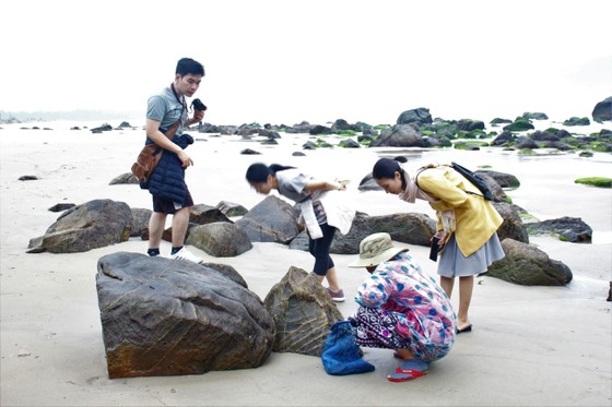 Mưu sinh với nghề hái rong biển ở ghềnh Nam Ô ảnh 4