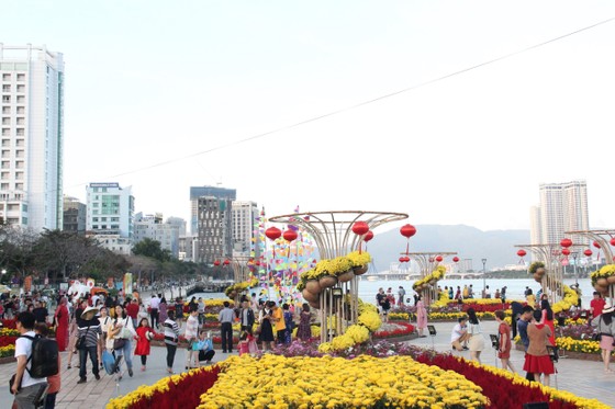 Đà Nẵng ngập tràn sắc xuân với đường hoa Tết ảnh 1