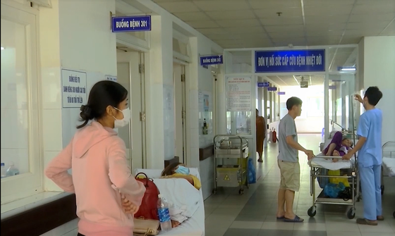 Đà Nẵng: 28 mẫu xét nghiệm đều âm tính với virus Corona ảnh 2