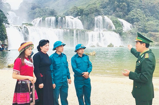 'Cây sa mộc' trên thác Bản Giốc ảnh 1