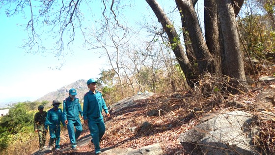 Những người lính áo xanh giữ rừng ảnh 1