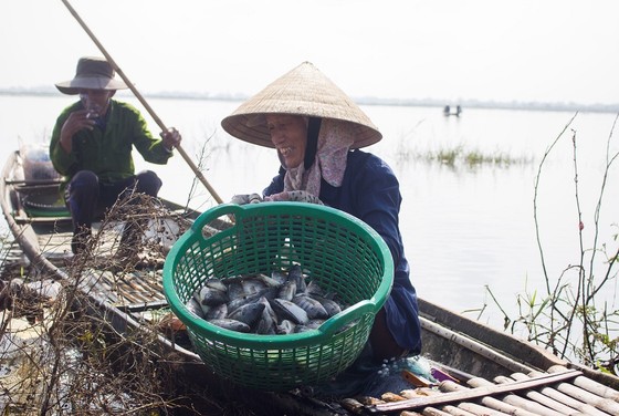 Mưu sinh vùng càng mùa nước nổi ảnh 6