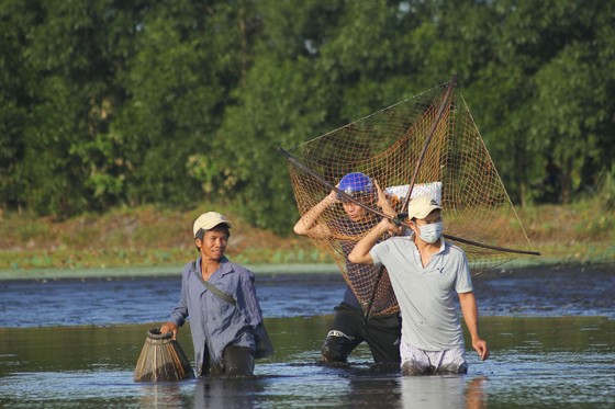 Hàng trăm người reo hò, lội bùn bắt cá cầu may  ảnh 2