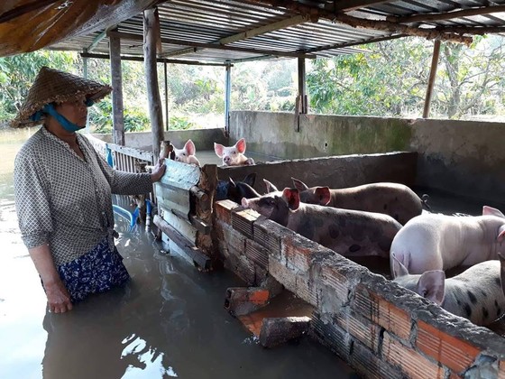 Khi châu thổ trở thành vùng đất dễ tổn thương ảnh 1