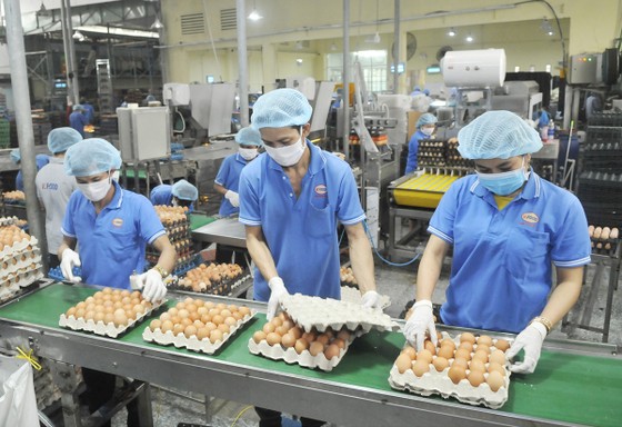 Tăng liên kết phát triển sản xuất và hạ tầng thương mại ảnh 1