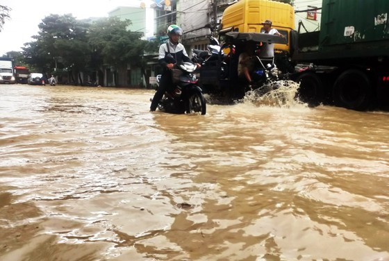 Mưa lũ gây thiệt hại nặng nề tại Bình Định ảnh 9