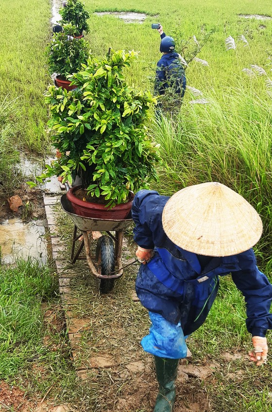 Các tỉnh miền Trung 'căng mình' chống bão số 6 ảnh 3