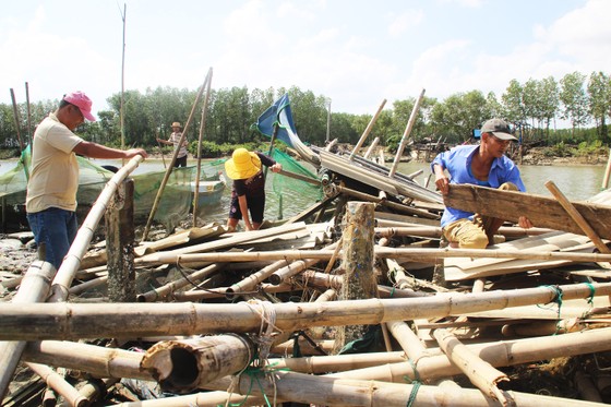 Người nuôi cá, cua đầm Thị Nại lo “mất tết” ảnh 3