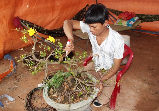 Hàng trăm "đại lão mai" tranh tài ở đất võ ảnh 13