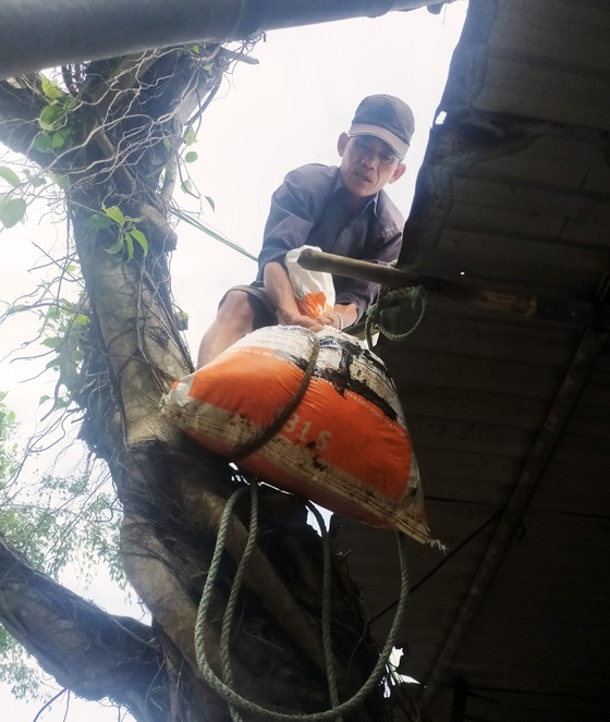 Căng mình ứng phó bão số 9 ảnh 9