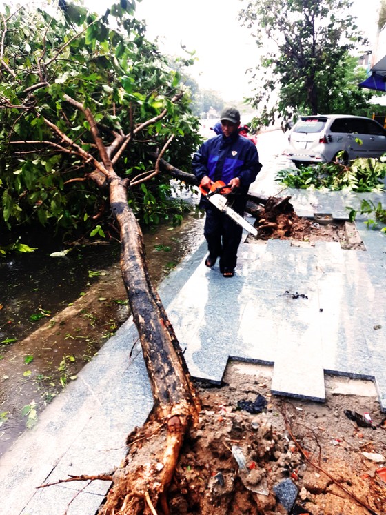 Bão số 12 bắt đầu tàn phá đất liền, nhiều nơi ngập lụt ảnh 2