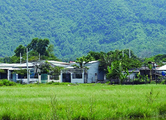 Đề nghị xử lý kiểm điểm Chủ tịch UBND quận Liên Chiểu từ năm 2005 đến nay ảnh 1