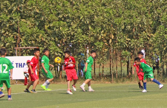 Đà Nẵng khai mạc giải bóng đá học đường lần thứ nhất ảnh 1